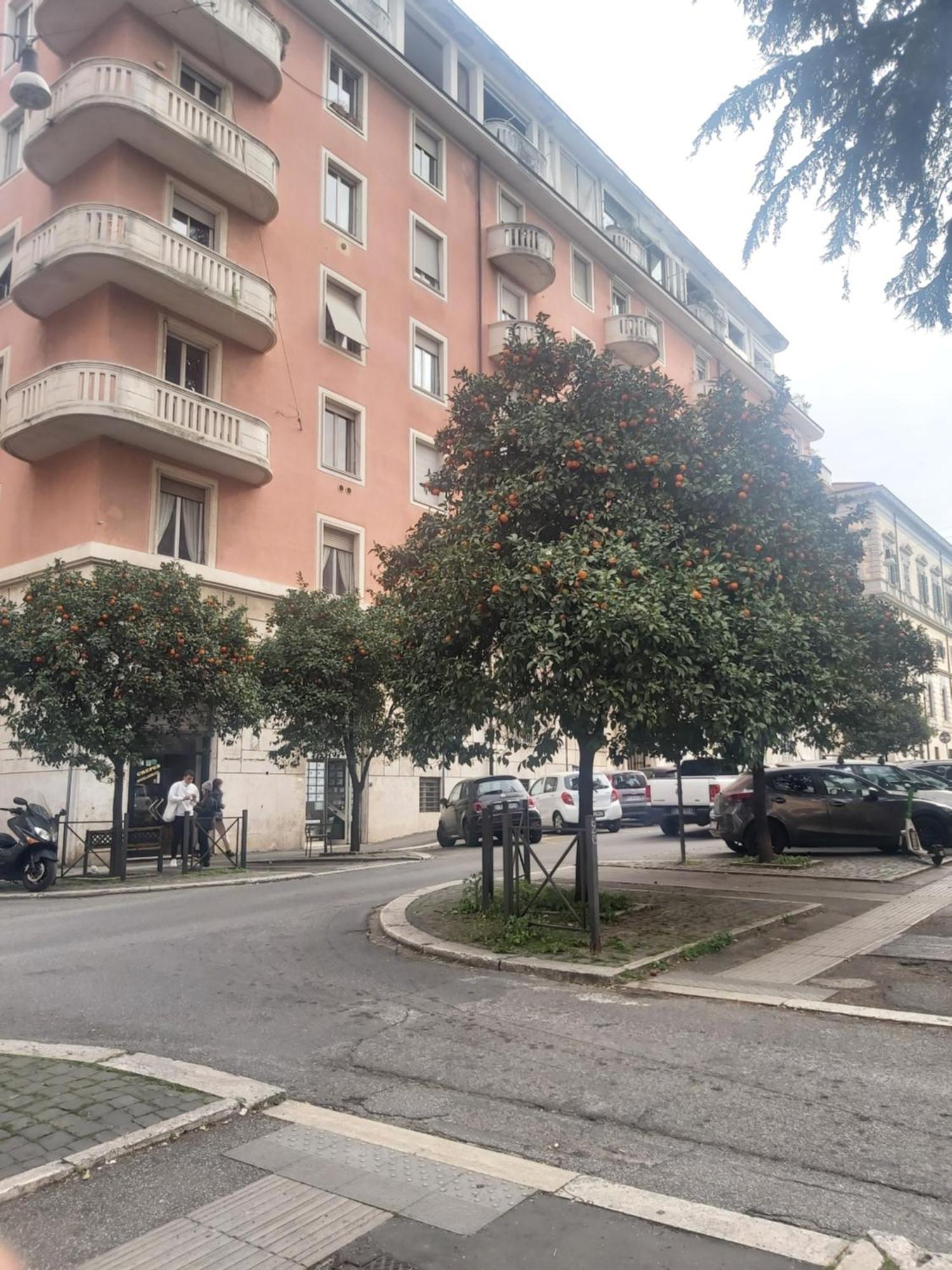 Holiday Colosseum Rome Bed and Breakfast Exterior foto